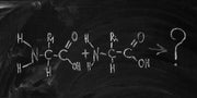 Essential Amino Acids - Don't Buy Another Supplement Until You Read This!