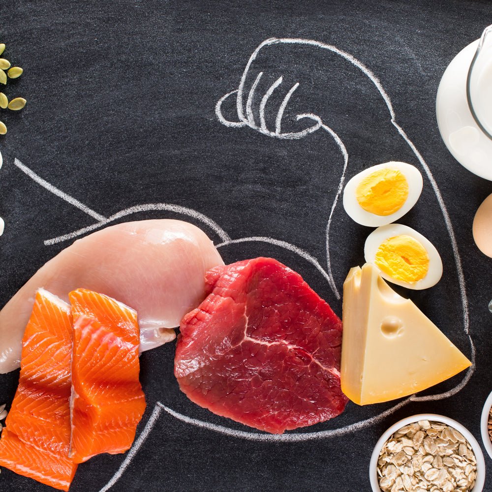 How Much Protein Can We Absorb From One Meal?