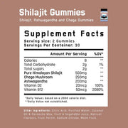 Pixelated Labs Shilajit Gummies