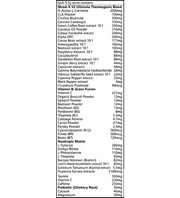 RAISEYS SHRED-X THERMOGENIC V2