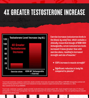 UNIVERSAL ANIMAL TEST 