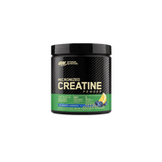 Optimum Nutrition Flavoured Micronized Creatine Powder - Blueberry Lemonade
