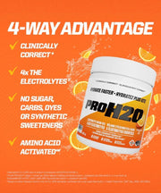 PVL PROH2O Electrolyte Mix | Sky Nutrition