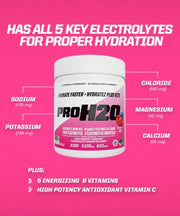 PVL PROH2O Electrolyte Mix | Sky Nutrition