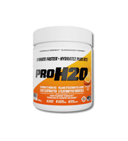 PVL PROH2O Electrolyte Mix | Sky Nutrition