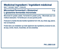PVL Pure Glutamine Vitamins & Supplements Sky Nutrition 
